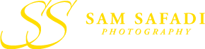 Sam Safadi