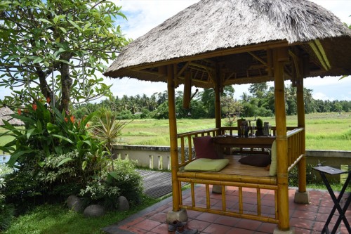 Bali Country 4286 copy