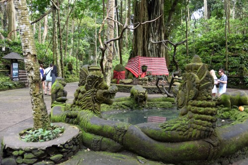Bali Country 4345 copy