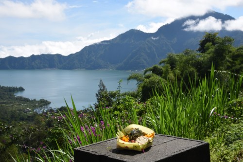 Bali Country 4563 copy