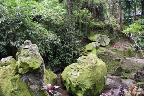 Bali Country 5155 copy
