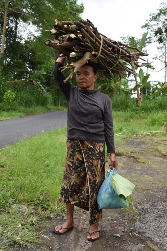 Bali People 4976