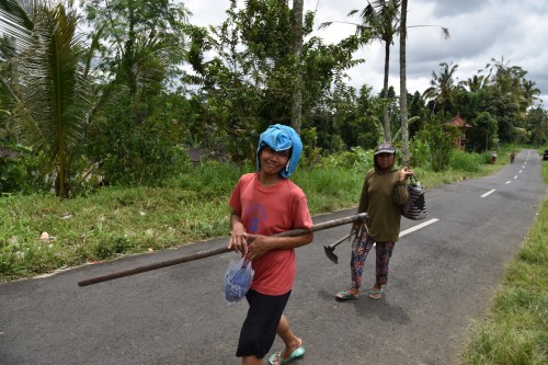 Bali People 5050