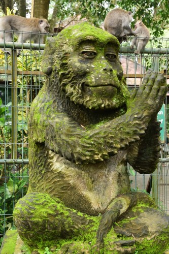 Bali Ubud 6800 copy