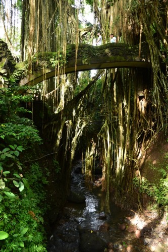 Bali Ubud 7018