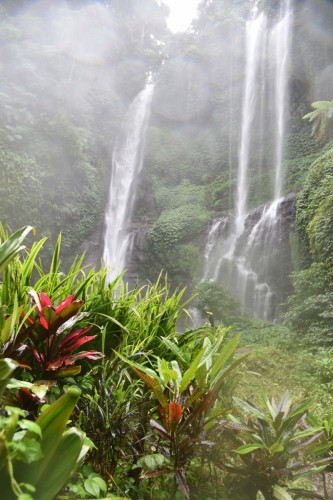 Bali Waterfalls 7271 copy