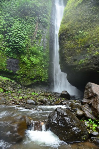Bali Waterfalls 7294 copy