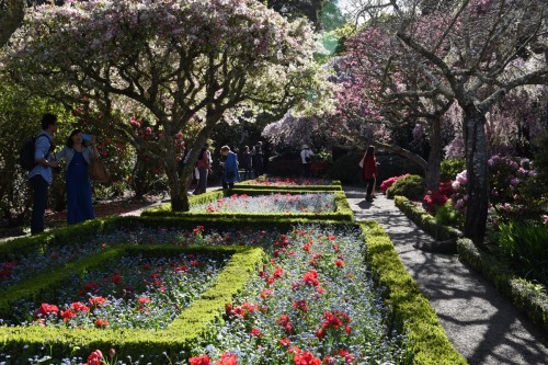 Cali 2017 Filoli 6392 copy