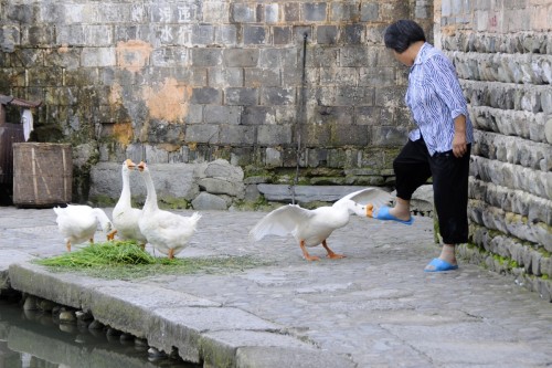China Hongcun 2688 copy