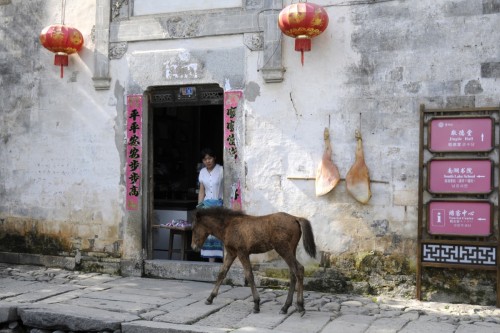 Hongcun Village