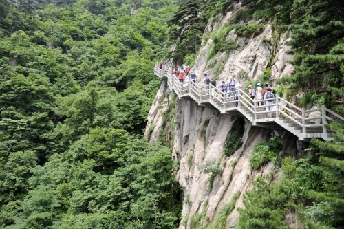 China Huang Shan 2169 copy