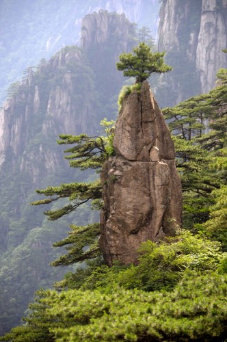 China Huang Shan 2373 copy