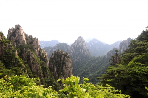 China Huang Shan 2381 copy