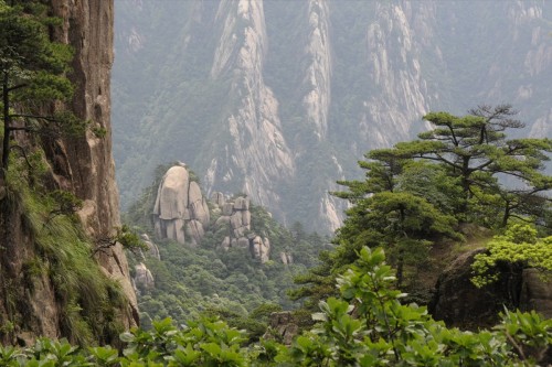China Huang Shan 2402 copy