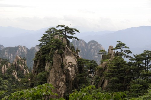 China Huang Shan 2474 copy