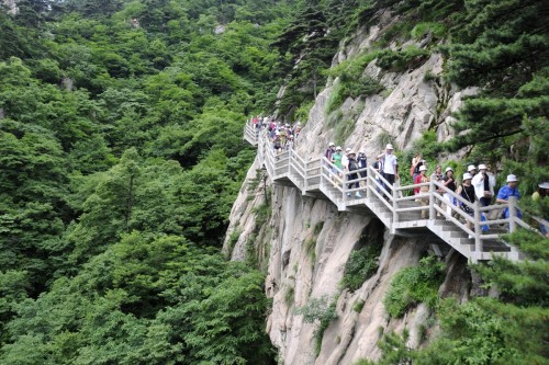 China Huang Shan 2484 copy 2
