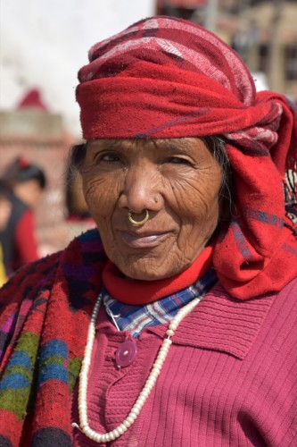 Culture SAM 4084 copy