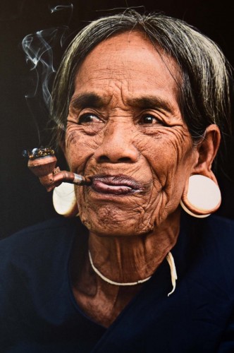 Culture SAM 5279 copy
