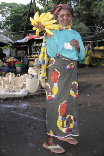 Culture  SAM5784 copy