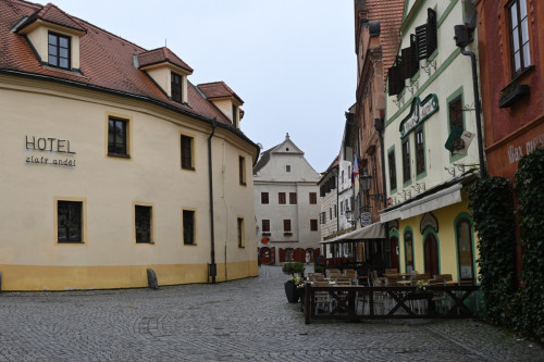 Cesky 9797-copy