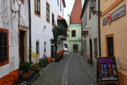 Cesky 9828-copy