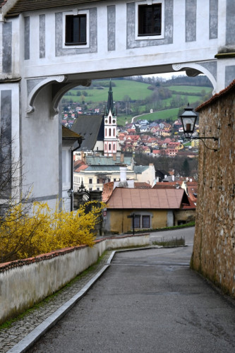 Cesky 9877-copy