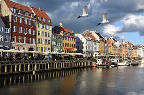 Copenhagen 8372 copy