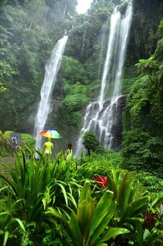 Bali Sekumpull Water Fall 1