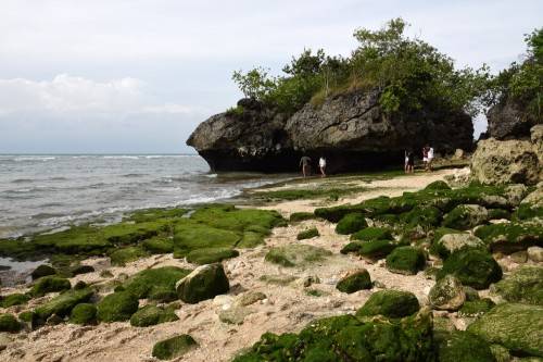 Bali  Padang Beach