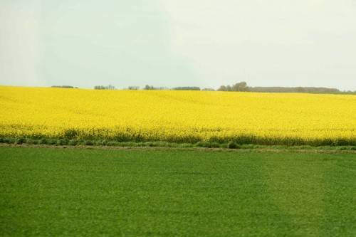 Belgium Mont Godinn