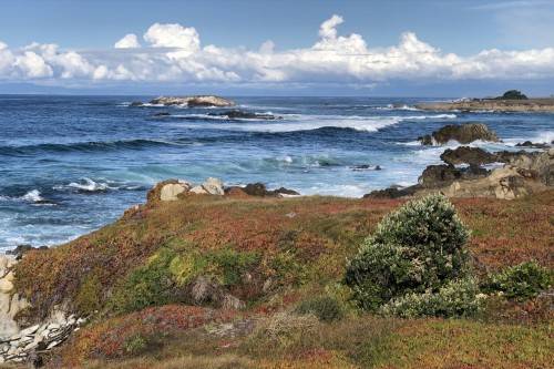 Califoria 1