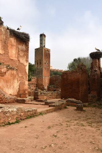 Morocco Chellah Roman Ruins