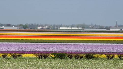 Netherlands 3