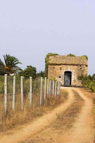 Sicily 3