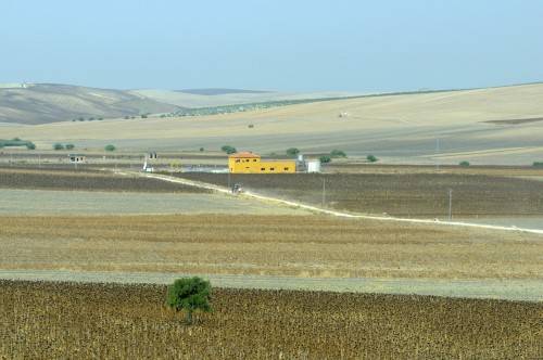 Sicily 5