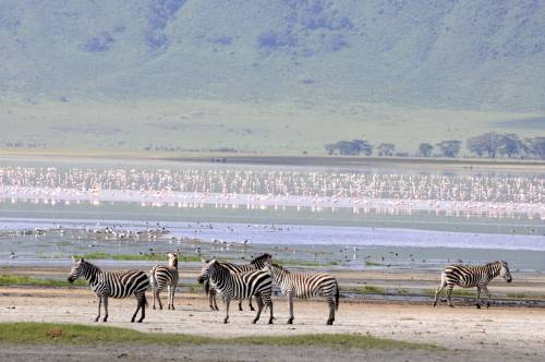 Tanzania 2