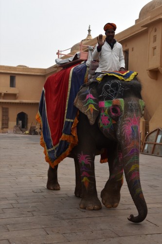 JaipurAmber 1354 copy