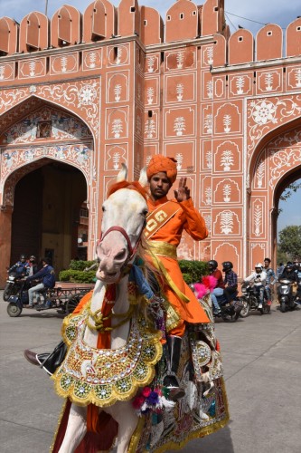 Jaipur 0939 copy