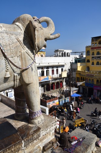 Udaipur 2360 copy