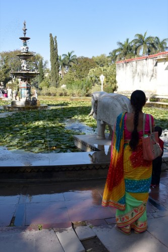Udaipur 2464 copy