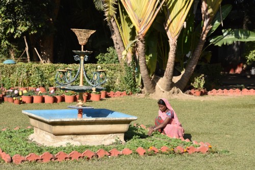 Udaipur 2469 copy
