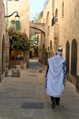OldTown 2396-copy
