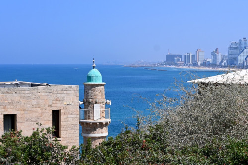 TelAviv 1533-copy