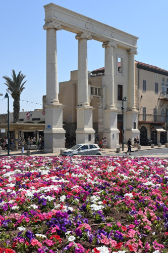 TelAviv 1619-copy