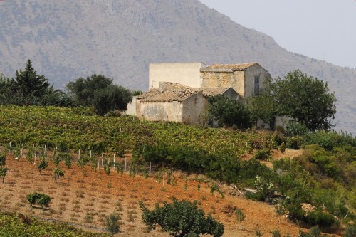 Terrasini Sicily Italy 6874 copy