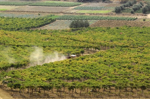 Terrasini Sicily Italy 6878 copy