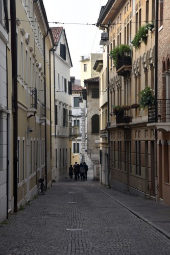 Treviso 5163 copy