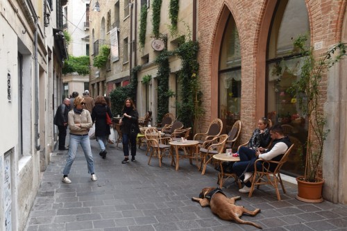 Treviso 5187 copy