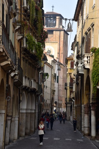 Treviso 5196 copy
