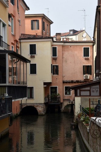 Treviso 5243 copy